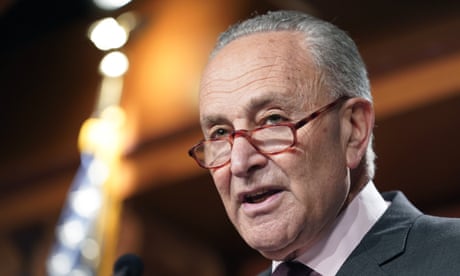 Senate Democrats begin vote on landmark $430bn climate bill